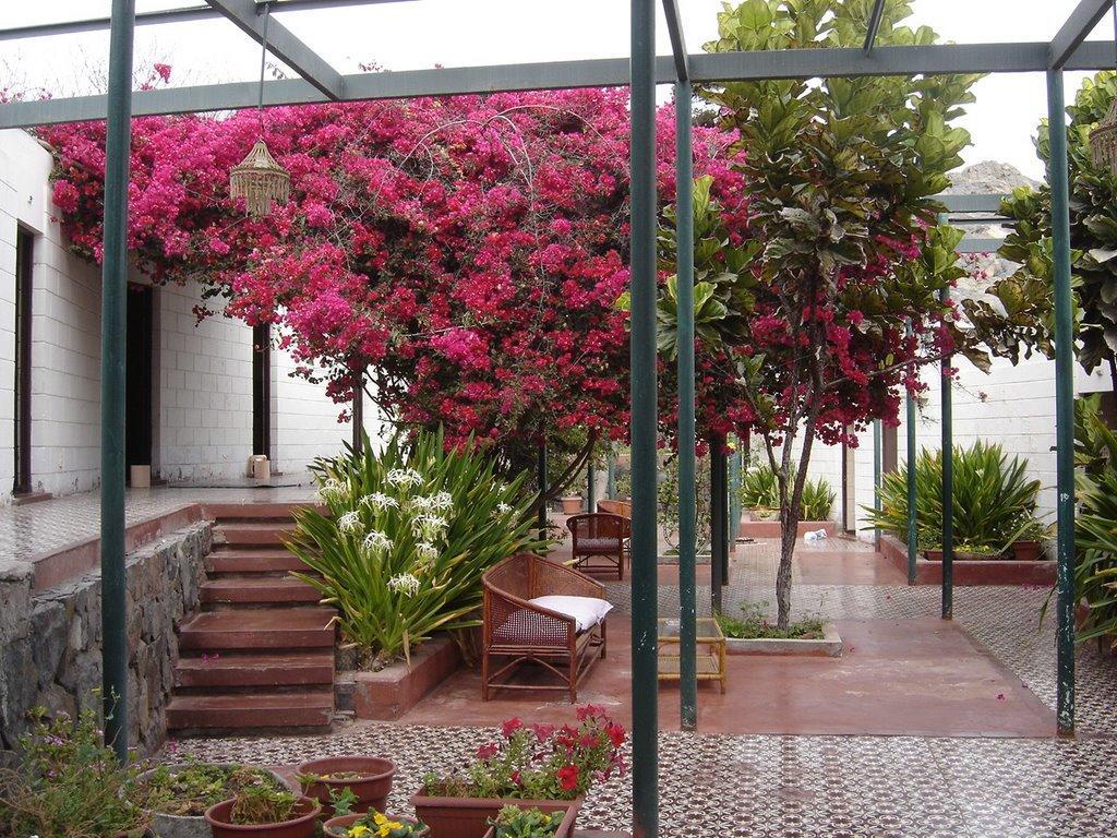 Hosteria Chanaral Dış mekan fotoğraf